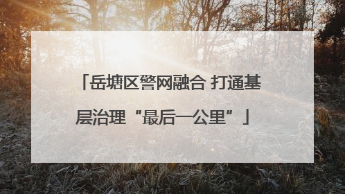 岳塘区警网融合 打通基层治理“最后一公里”