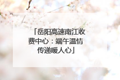 岳阳高速南江收费中心：端午温情传递暖人心