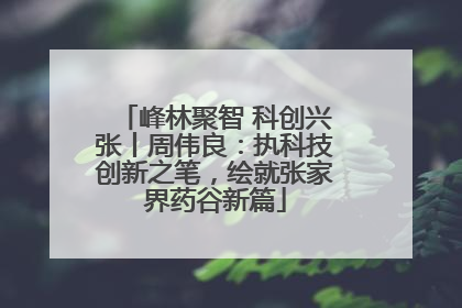 峰林聚智 科创兴张丨周伟良：执科技创新之笔，绘就张家界药谷新篇