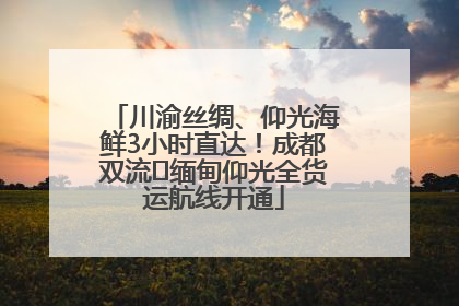 川渝丝绸、仰光海鲜3小时直达！成都双流⇌缅甸仰光全货运航线开通
