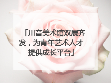 川音美术馆双展齐发，为青年艺术人才提供成长平台