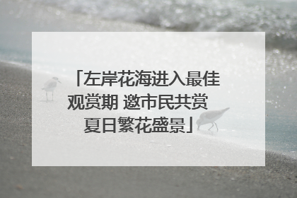 左岸花海进入最佳观赏期 邀市民共赏夏日繁花盛景