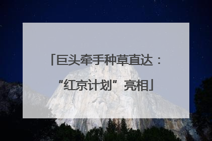 巨头牵手种草直达：“红京计划”亮相