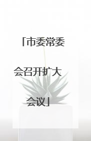 市委常委会召开扩大会议