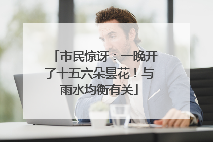 市民惊讶：一晚开了十五六朵昙花！与雨水均衡有关