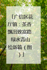 广信区花厅镇：茶香飘出致富路 绿水青山绘新篇（图）