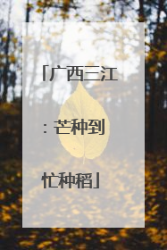 广西三江：芒种到 忙种稻