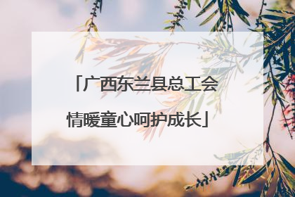 广西东兰县总工会情暖童心呵护成长