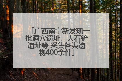 广西南宁新发现一批洞穴遗址、大石铲遗址等 采集各类遗物400余件