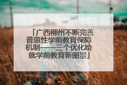 广西柳州不断完善普惠性学前教育保障机制——三个优化绘就学前教育新图景