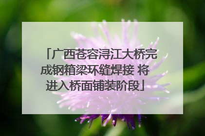 广西苍容浔江大桥完成钢箱梁环缝焊接 将进入桥面铺装阶段