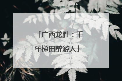 广西龙胜：千年梯田醉游人