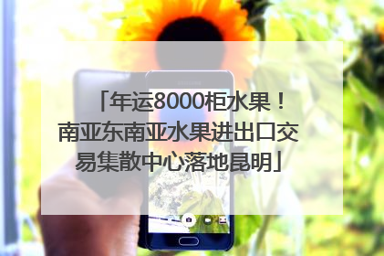 年运8000柜水果！南亚东南亚水果进出口交易集散中心落地昆明