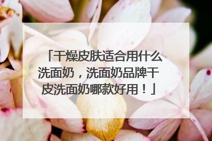干燥皮肤适合用什么洗面奶，洗面奶品牌干皮洗面奶哪款好用！