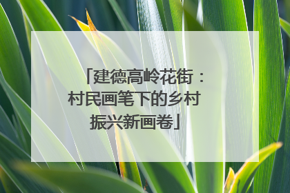 建德高岭花街：村民画笔下的乡村振兴新画卷