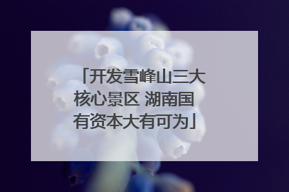 开发雪峰山三大核心景区 湖南国有资本大有可为