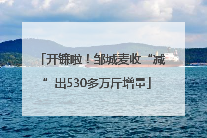 开镰啦！邹城麦收“减”出530多万斤增量