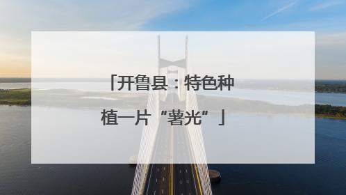开鲁县：特色种植一片“薯光”