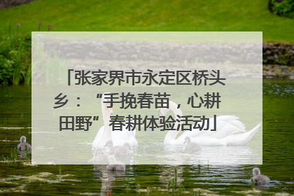 张家界市永定区桥头乡：“手挽春苗，心耕田野”春耕体验活动