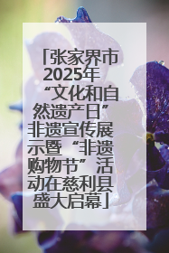 张家界市2025年“文化和自然遗产日”非遗宣传展示暨“非遗购物节”活动在慈利县盛大启幕