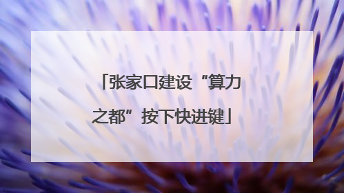 张家口建设“算力之都”按下快进键