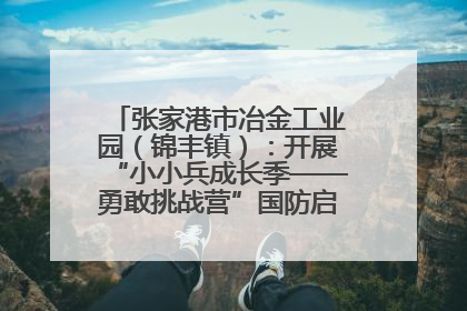 张家港市冶金工业园（锦丰镇）：开展“小小兵成长季——勇敢挑战营”国防启蒙教育活动