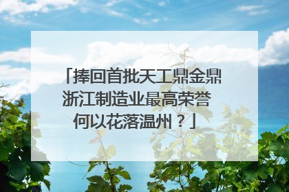 捧回首批天工鼎金鼎 浙江制造业最高荣誉何以花落温州？