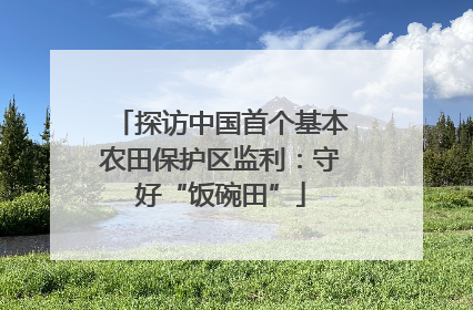 探访中国首个基本农田保护区监利：守好“饭碗田”