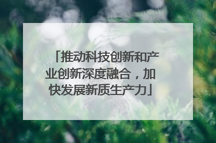 推动科技创新和产业创新深度融合，加快发展新质生产力