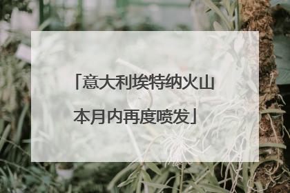 意大利埃特纳火山本月内再度喷发