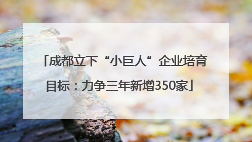 成都立下“小巨人”企业培育目标：力争三年新增350家