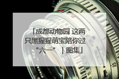 成都动物园 这两只黑猩猩萌宝陪你过“六一”｜图集