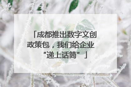 成都推出数字文创政策包，我们给企业“递上话筒”
