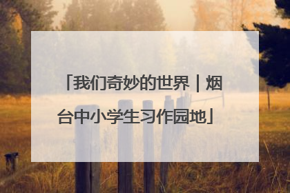 我们奇妙的世界｜烟台中小学生习作园地