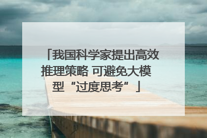 我国科学家提出高效推理策略 可避免大模型“过度思考”