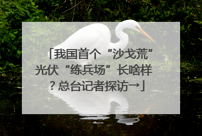 我国首个“沙戈荒”光伏“练兵场”长啥样？总台记者探访→