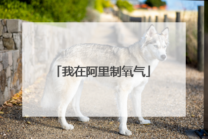 我在阿里制氧气