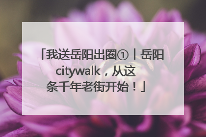 我送岳阳出圈①丨岳阳citywalk，从这条千年老街开始！
