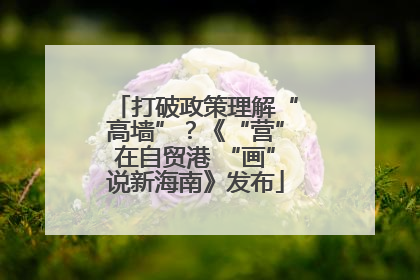 打破政策理解“高墙”？《“营”在自贸港 “画”说新海南》发布