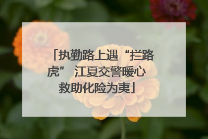 执勤路上遇“拦路虎” 江夏交警暖心救助化险为夷