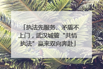执法先服务、矛盾不上门，武汉城管“共情执法”赢来双向奔赴