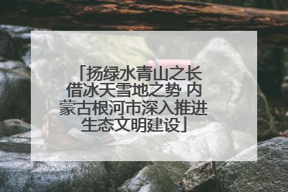 扬绿水青山之长 借冰天雪地之势 内蒙古根河市深入推进生态文明建设