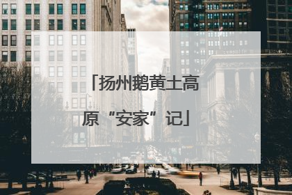 扬州鹅黄土高原“安家”记