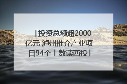 投资总额超2000亿元 泸州推介产业项目94个丨数读西投