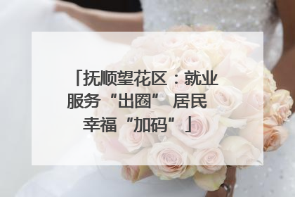 抚顺望花区：就业服务“出圈” 居民幸福“加码”