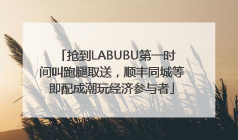 抢到LABUBU第一时间叫跑腿取送，顺丰同城等即配成潮玩经济参与者