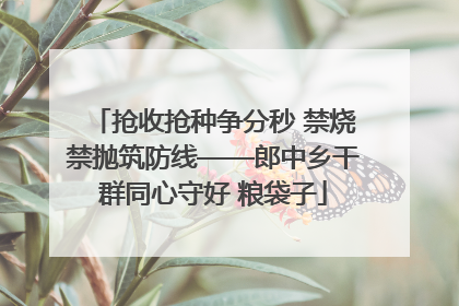 抢收抢种争分秒 禁烧禁抛筑防线——郎中乡干群同心守好 粮袋子