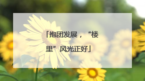 抱团发展，“楼里”风光正好