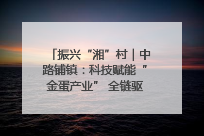 振兴“湘”村｜中路铺镇：科技赋能“金蛋产业” 全链驱动乡村振兴