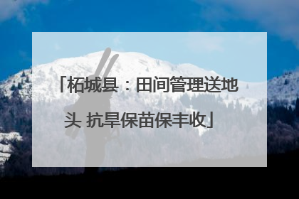柘城县：田间管理送地头 抗旱保苗保丰收